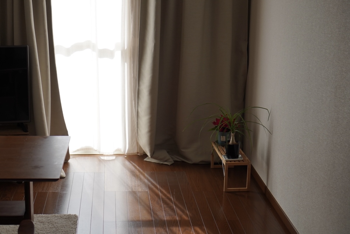 在宅ワークの朝、光が入るリビングの一角